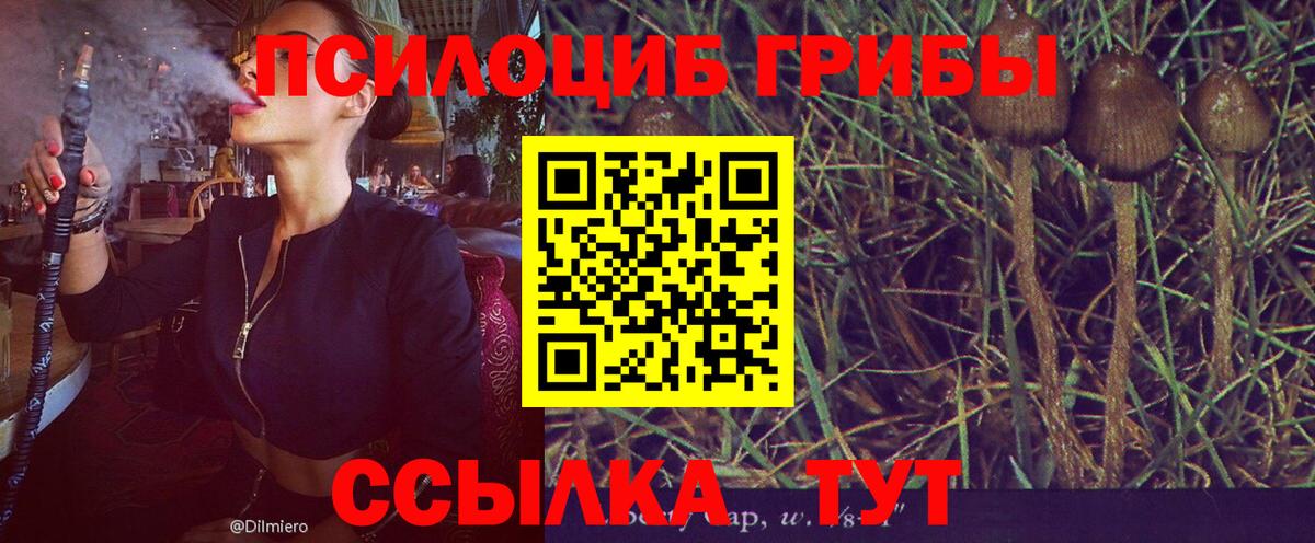 Псилоцибиновые грибы прущие грибы Бугульма